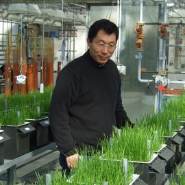 PD. Dr. Yuncai Hu