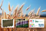 PRECISION: Advanced Machine Learning for Drone-Based Precision Agriculture