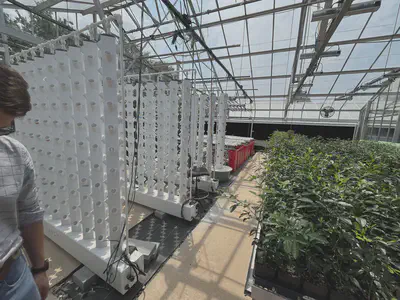 Touring the controlled-environment-agriculture (CEA) phenotyping facilities.