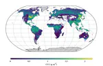 A New Global View of Vegetation Health from Space