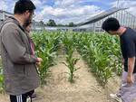 AmAIzed Project Field Day - July 1, 2024