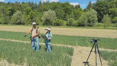 ASD canopy measurement