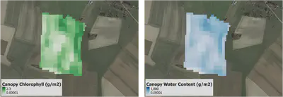 Satellite pixel map of Chl and water content