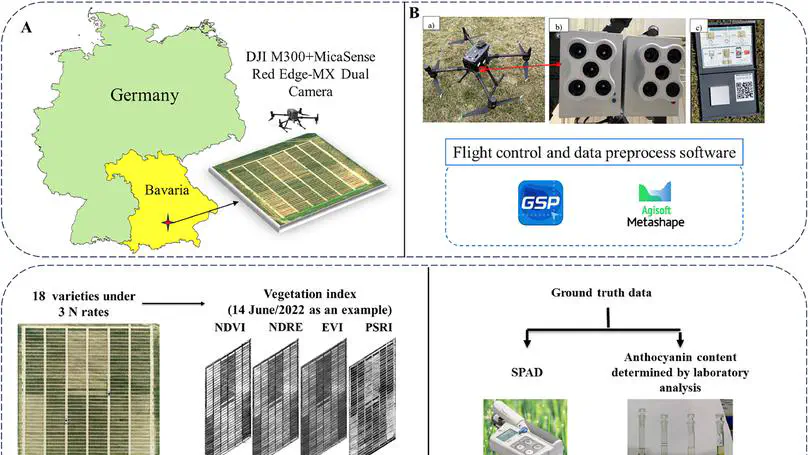 UAVs Unlock New Insights into Wheat Senescence Dynamics